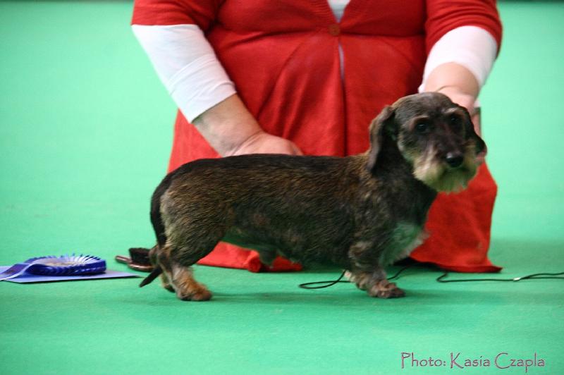 Crufts2011_2 930.jpg